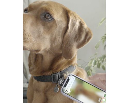 Image of NFC Dog Tag NFC Tag